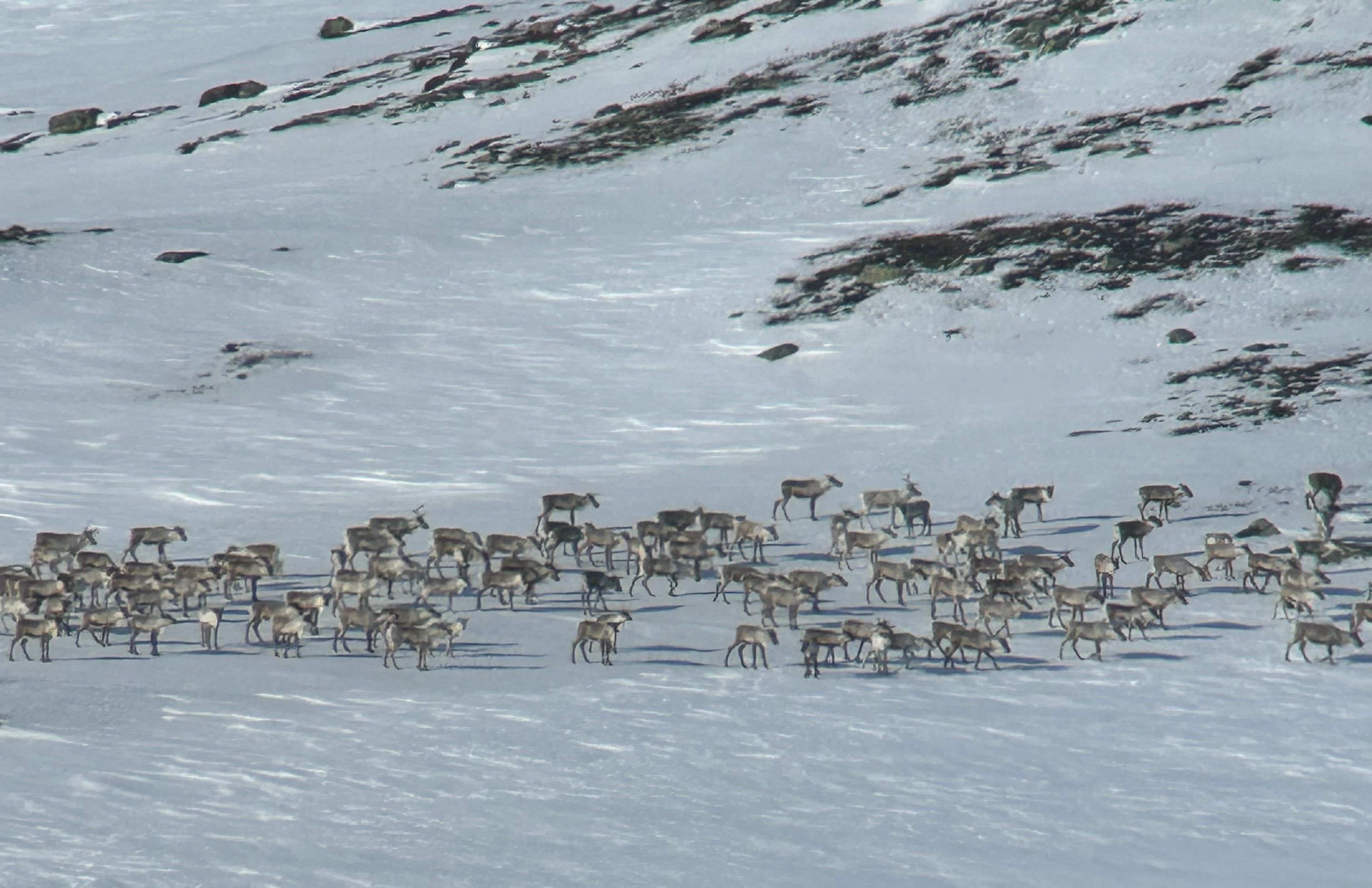Vi påberoper oss en rett til fjellet – men har vi egentlig den retten?