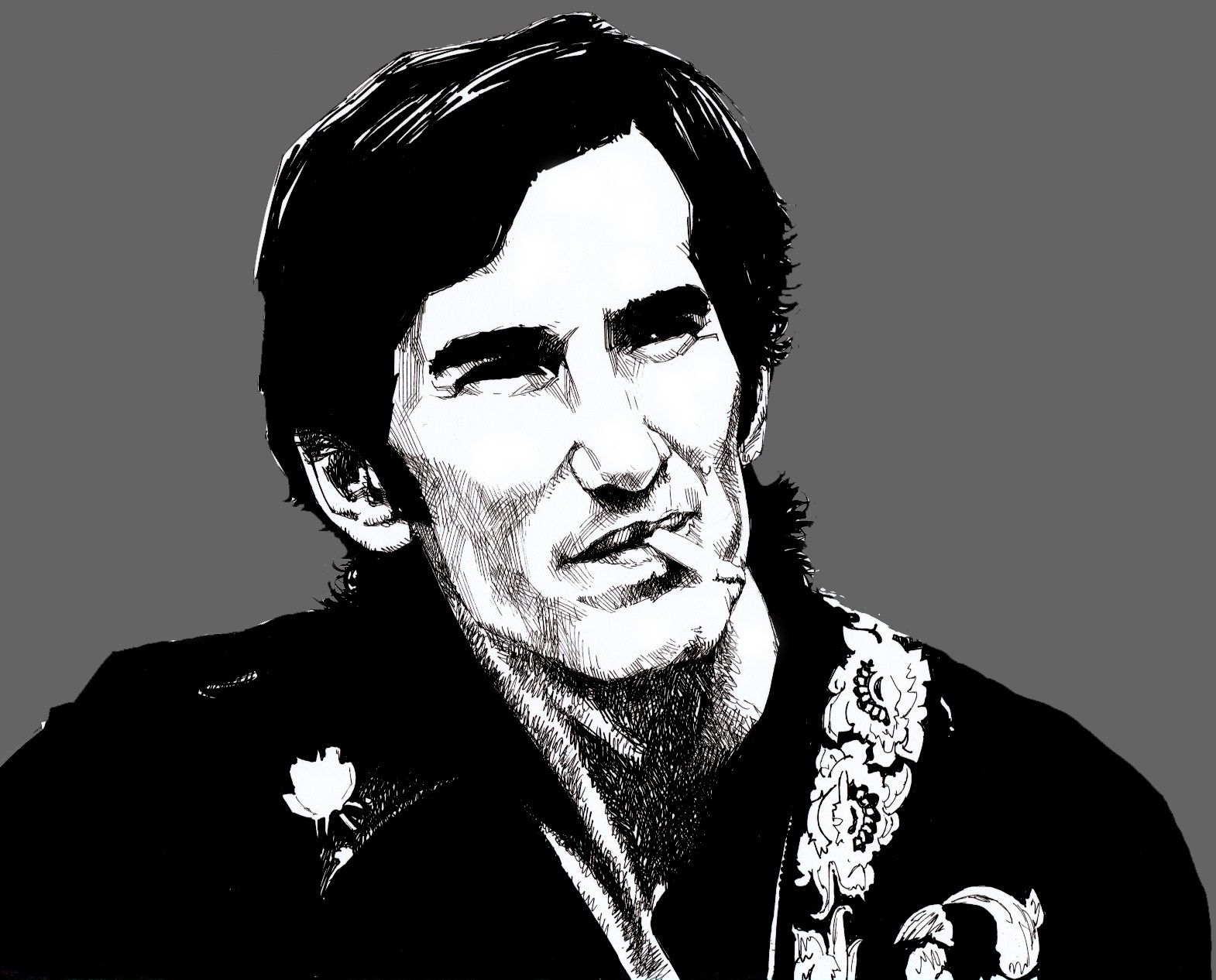 Townes Van Zandt bilde bilde