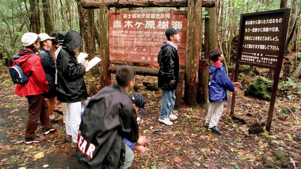 Stadig F rre Selvmord I Japan Itromso no