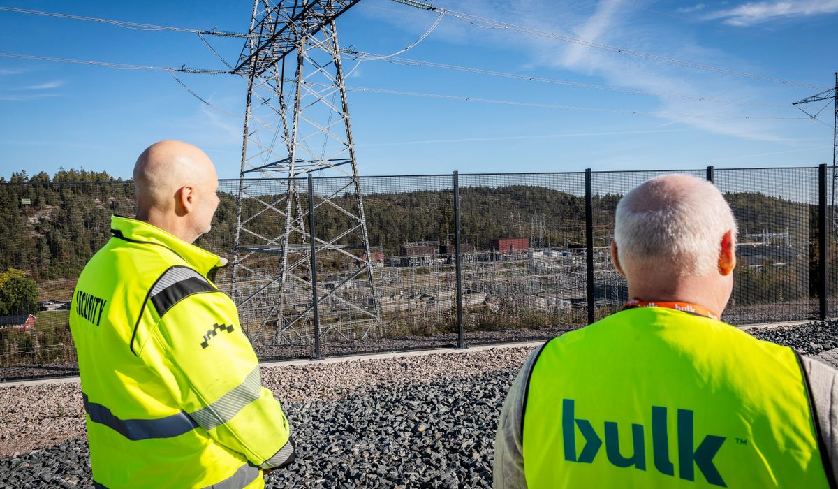 Er dataselskapet Bulk et norsk selskap?