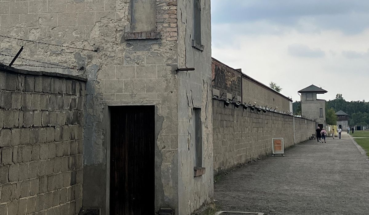 En effektiv kur mot jødehat